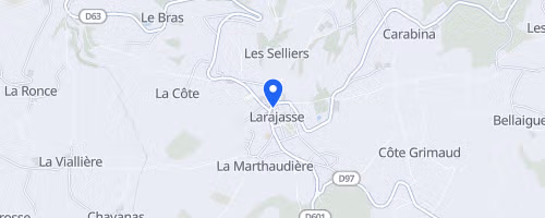 Les foulées de noël - Larajasse