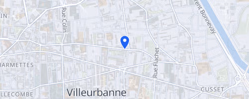 Cross de la feyssine - Villeurbanne