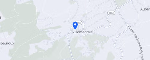 Treille en côte roannaise - Villemontais