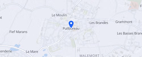 Courir Contre La Maladie - Puilboreau