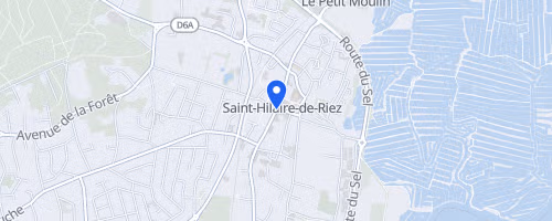 Les galopades de la forêt - Saint-Hilaire-de-Riez