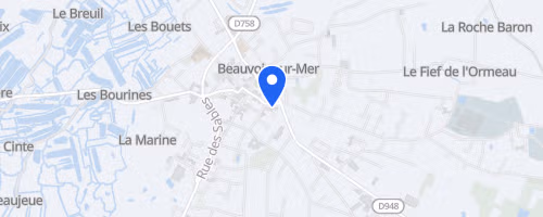 Les foulées du Gois - Beauvoir-sur-Mer