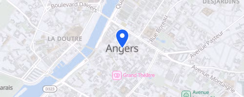 Swim In Maine Angers - 2.5 km 2026