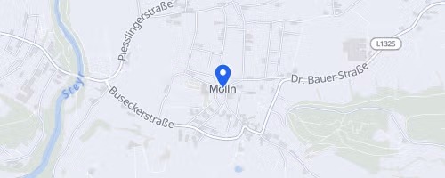 Mollner Marktfestlauf