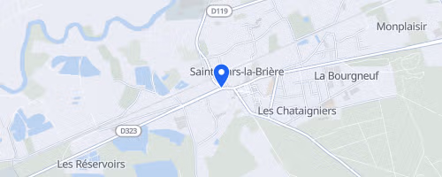 Trail du dahu - Saint-Mars-la-Brière