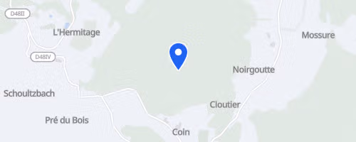 Foulées du souvenir - Orbey