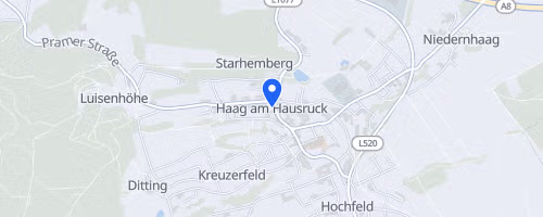 Haager Marktlauf
