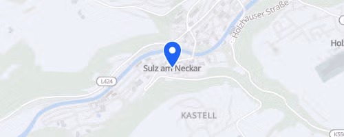 Firmenlauf Sulz am Neckar