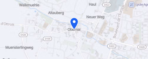 Triathlon International d'Obernai - L 2026
