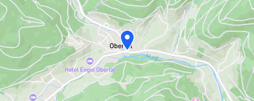Crosslauf "Rund um den Adlersee" Baiersbronn