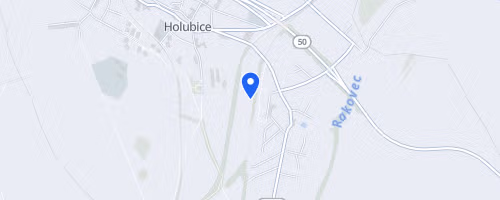 Běh s holubicí