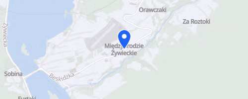 Międzynarodowy Bieg Górski ŻAR