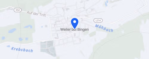 8. Charity Mega Run Bingen
