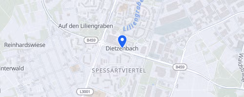 Lions - Dietzenbacher Stadtlauf 2026