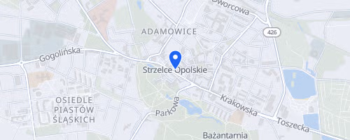 XXXV Strzelecki Bieg Uliczny im. Euzebiusza Ferta