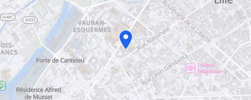 Les foulées lilloises - Lille