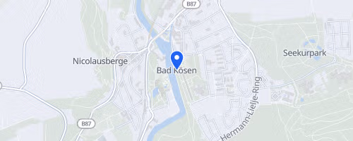 43. Rudelsburglauf