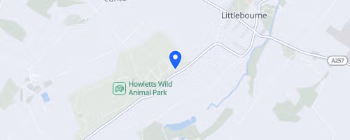 Howletts Cheetah 5k