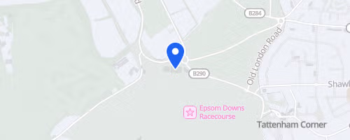 Epsom Oddballs 2000 Perch