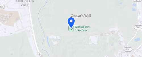 RunUK Wimbledon Half Marathon