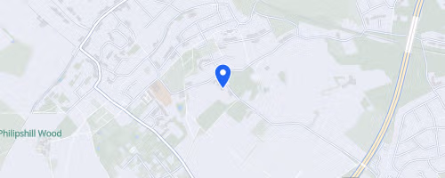 Ricky Road Run