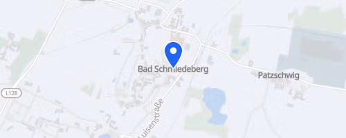 46. Pretzscher Heimatfestlauf