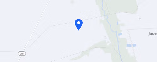 Bieg i marsz NW Dzika Dyszka w Brzezinach