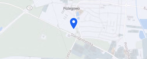 Bieg Nasza Dycha Gostyn