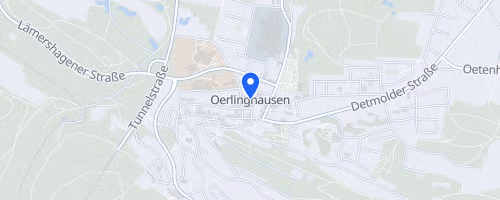 55. Weihnachtslauf Lipperreihe