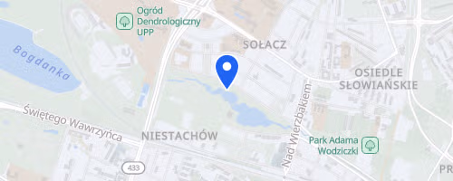 Biegi Poznań