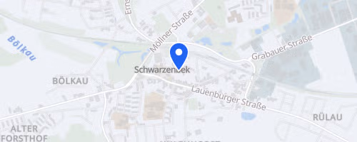SachsenwaldLauf