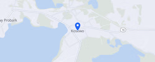 Bieg Śladami Łosia