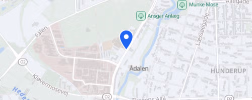 Nytårsløbet Odense 2026