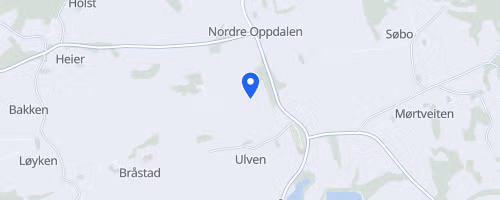 Oppdalskarusellen 4. løp