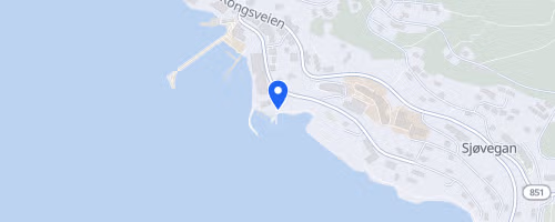 Idrettsheialøpet