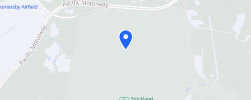 Strickland Stinger Canicross