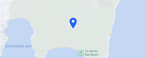 Auckland Trail Run & Walk - Shakespear Regional Park