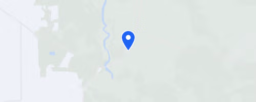 Wild Boar Night Run
