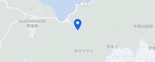 Mont Fuji International Marathon