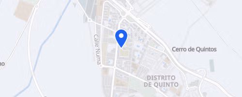 Carrera Popular Virgen del Pilar