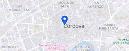 Carrera Nocturna Trotacalles