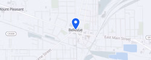 Bellevue 5k