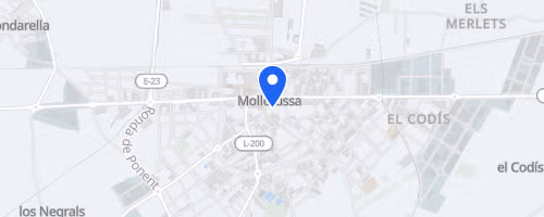 Cursa de l'Indiot