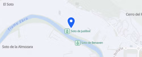 I 5K ARCOSUR CONTRA EL PERTHES