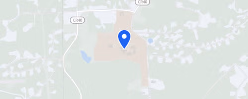 Revenge of the Red Baron Half Marathon and 5K