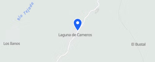 RTS - Camero Viejo