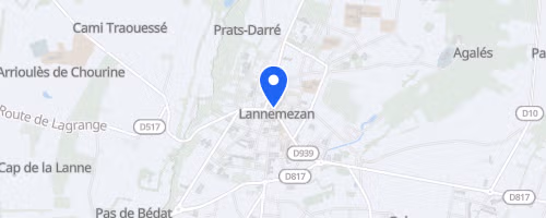 Les foulées du plateau - Lannemezan