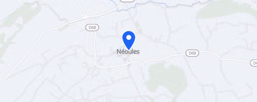 Les foulées néoulaises - Néoules