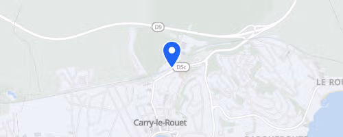Carro-Carry