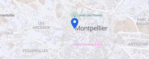 Montpellier run festival
